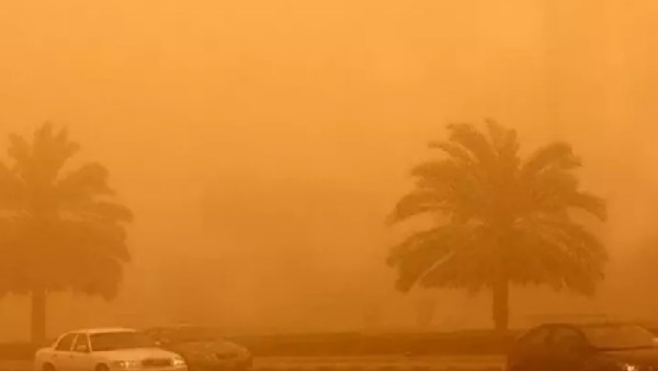 رياح نشطة وأتربة عالقة.. تفاصيل طقس اليوم الثلاثاء 27 يناير 2025 