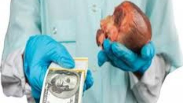 حكاية سمسار أعضاء بشرية