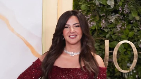 النجمة دنيا سمير غانم 