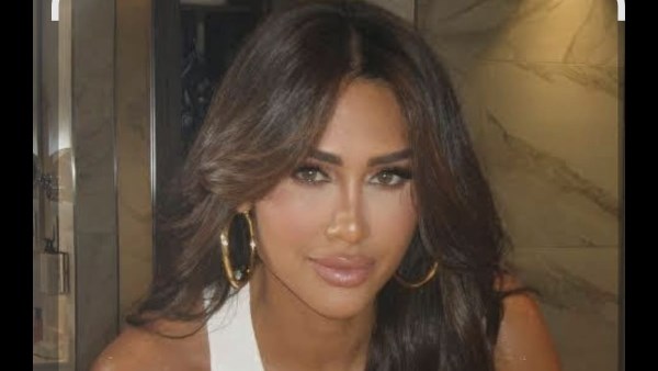 الفنانة انجي كيوان 