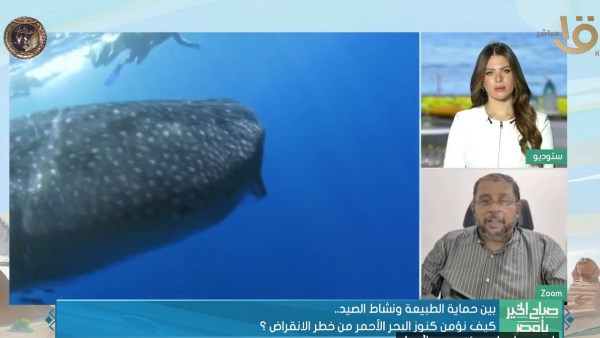 جانب من المؤتمر 