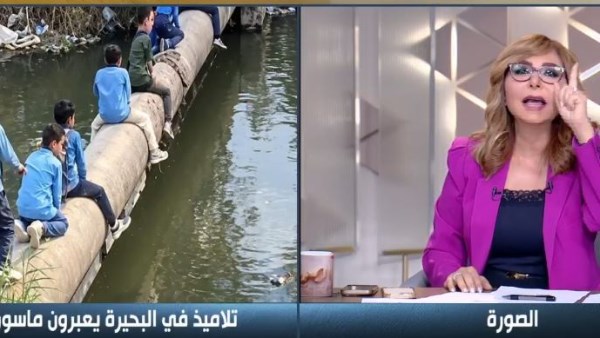 لميس الحديدي 