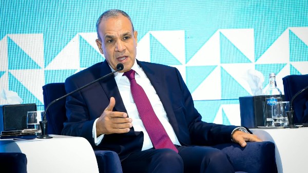 الدكتور بدر عبد العاطي وزير الخارجية 