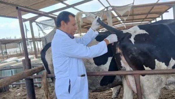 الخدمات البيطرية