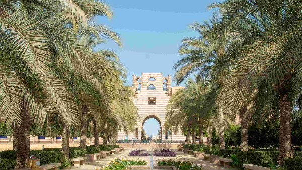  إدارة المياه والزراعة الذكية