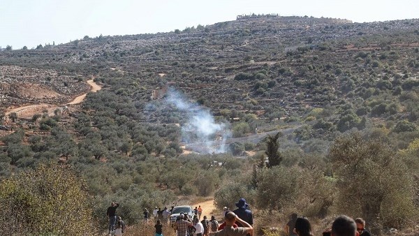  مزارعي الزيتون الفلسطينيين 