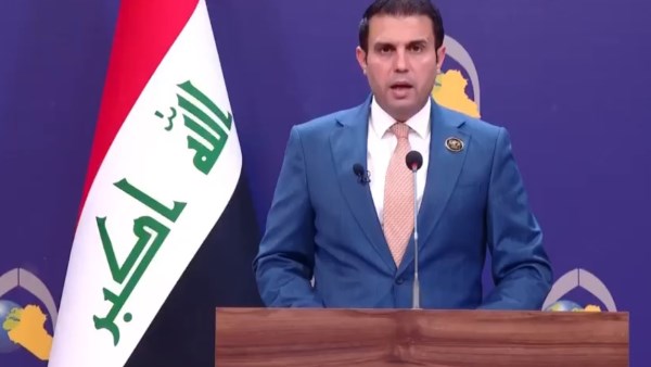 السفير حسنين كامل،