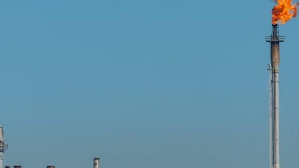  النفط