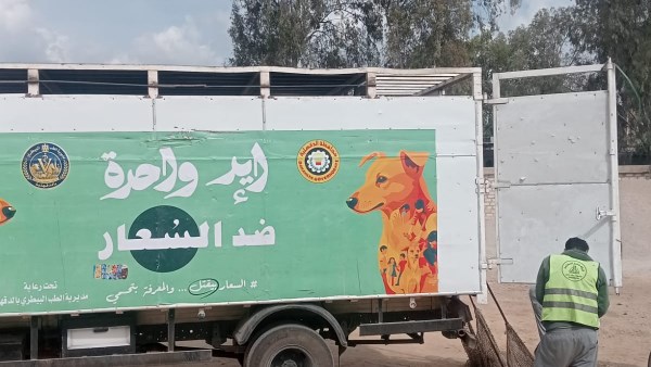  حملات التعامل مع الكلاب الضالة