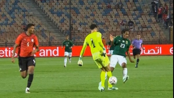 مصطفى شوبير 