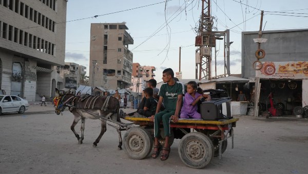 أصبحت الحمير شريان حياة للفلسطينيين في غزة بعد ثلاث سنوات من الحرب 