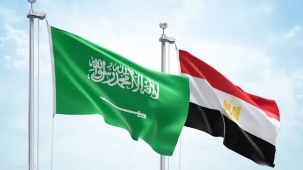 صورة توضيحية