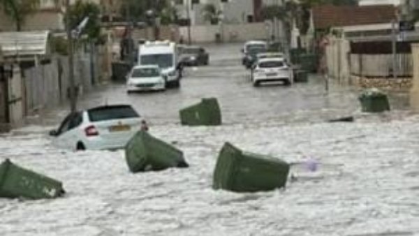 سيول في اسرائيل