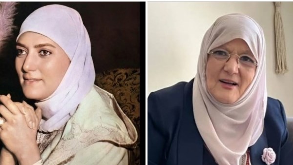 شمس البارودى