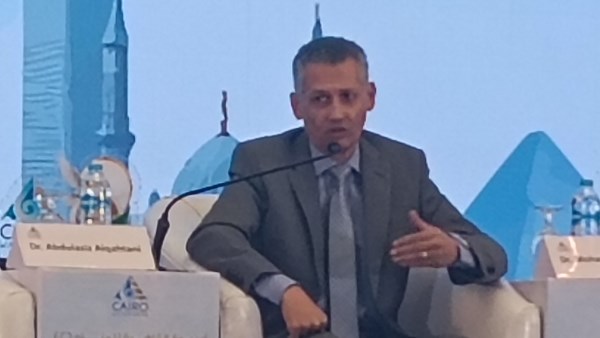 ممثل البرنامج الإنمائي للأمم المتحدة