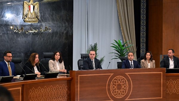 المهندسة راندة المنشاوي