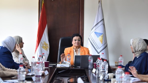 لدكتورة عبلة الألفي، نائب وزير الصحة والسكان
