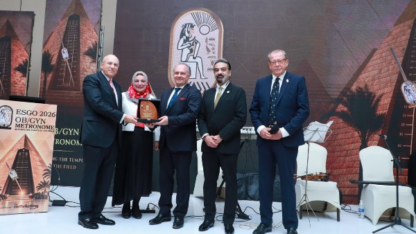 الدكتور حسام عبدالغفار مساعد الوزير للتطوير المؤسسي