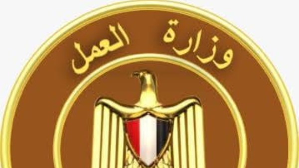 وزارة العمل 