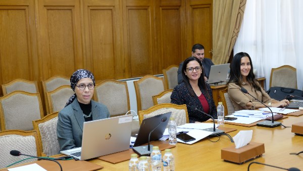 اجتماع لجنتي الطفولة العربية والأسرة العربية 