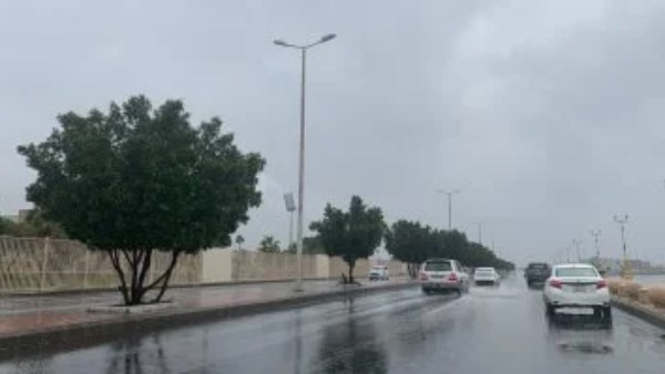 سيارات شفط المياه وخطوط ساخنة لتلقي البلاغات.. ننشر خطة محافظة الإسكندرية لمواجهة تقلبات الطقس وسقوط الأمطار في موسم الشتاء