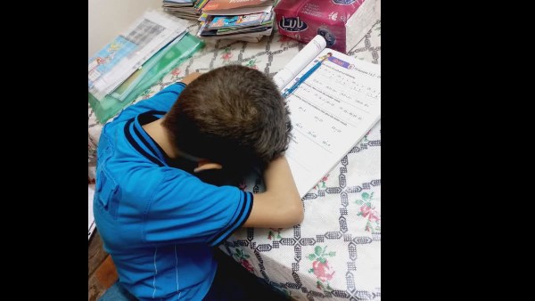 الصورة المتداولة