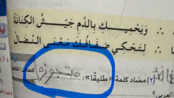 الصورة المتداولة
