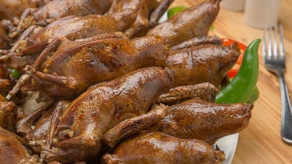 فوائد لحم الحمام