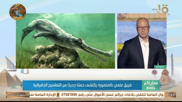 اكتشاف حفري لجنس جديد من التماسيح يعود إلى 45 مليون سنة.. يوضح التفاصيل د. هشام سلام