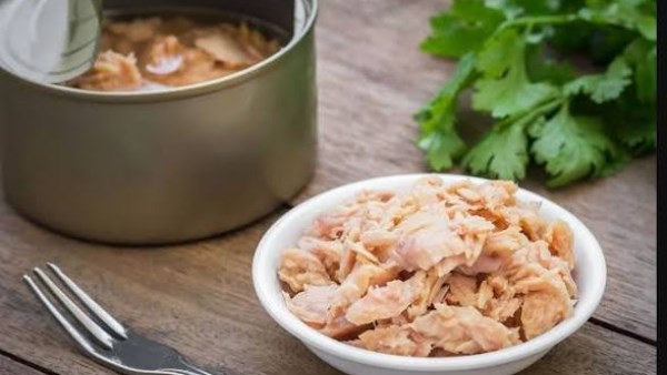 هل زيت التونة والسردين المعلب مفيد؟