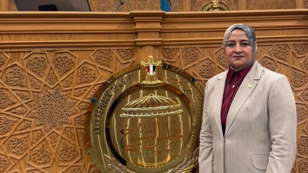  النائبة الدكتورة مروة قنصوة