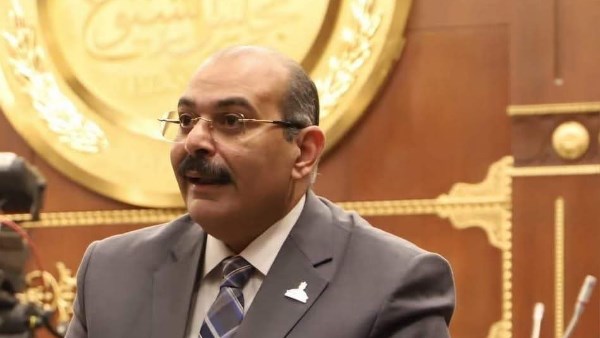 النائب الدكتور محمود صلاح سعد