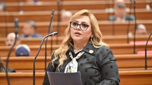 برلمانية: جولة الرئيس السيسي الآسيوية تعزز مكانة مصر دوليًا وتفتح آفاقًا جديدة للاستثمار