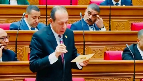 برلماني: رسائل الرئيس السيسي في ذكرى أكتوبر تجدد التأكيد على وحدة المصريين