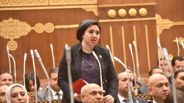  النائبة أميرة صابر