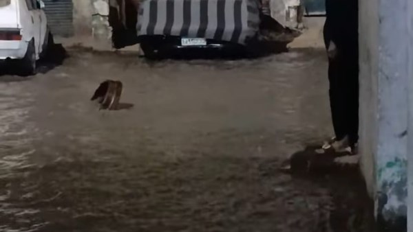 غرق