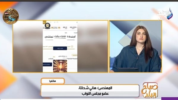  هاني شحاتة، عضو مجلس النواب
