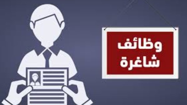 وظائف وزارة التضامن الاجتماعي 2026
