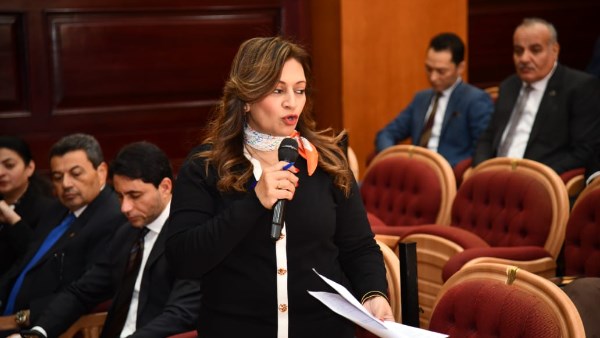  النائبة نيفين فارس