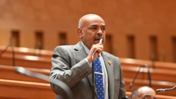 النائب محمد أبو الخير
