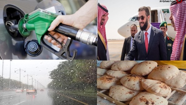 صورة الملف