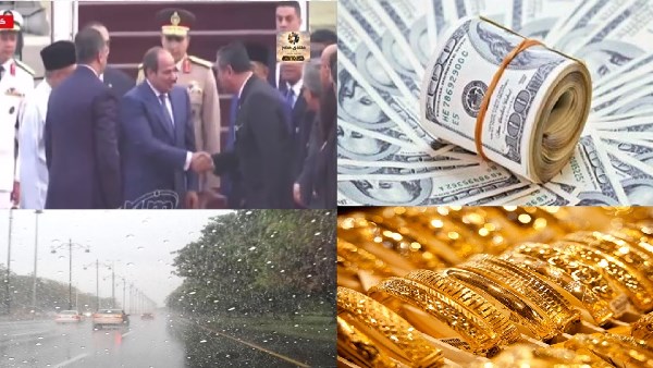 صورة الملف
