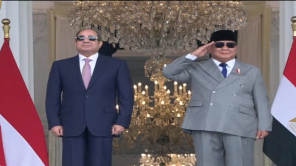 الرئيس السيسي ونظيره الإندونيسي