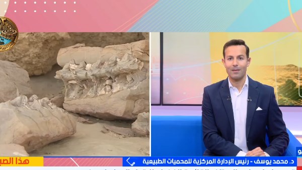 صورة من المداخلة