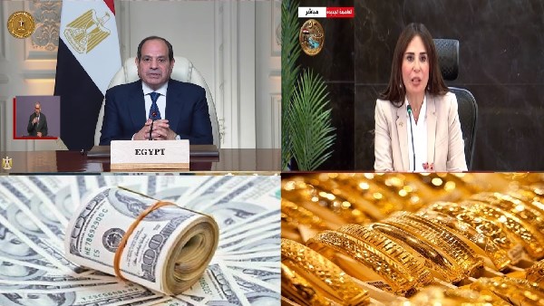 صورة الملف