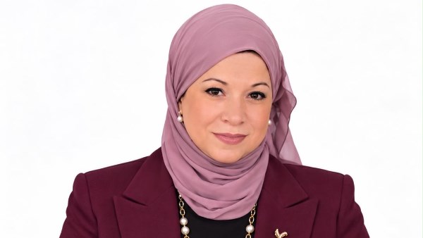 مايسة عبد الغني حسن