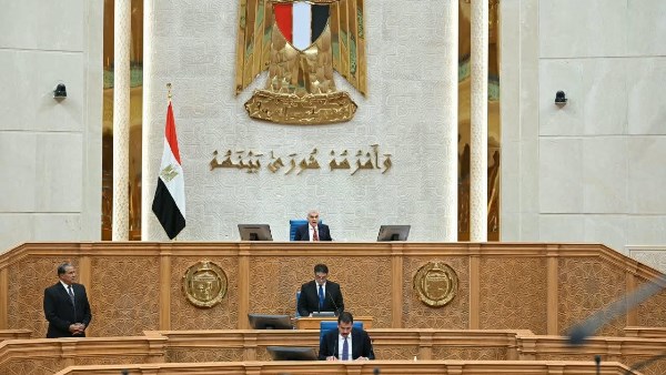 المستشار عصام فريد، رئيس مجلس الشيوخ