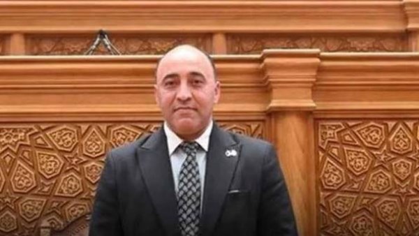 النائب حسام الخشت