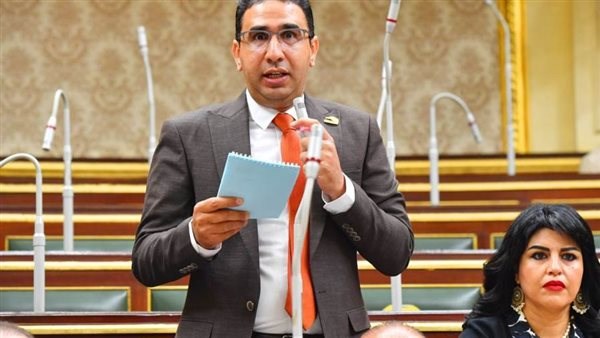 النائب عبد الوهاب خليل، عضو مجلس النواب
