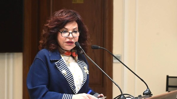 النائبة آمال عبد الحميد، عضو لجنة الخطة والموازنة بمجلس النواب